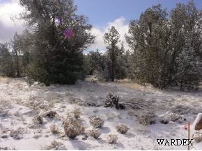1511 Bucks Road Seligman, AZ 86337 - Photo 5 of 11 Additional Photo