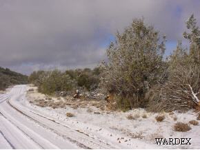 1511 Bucks Road Seligman, AZ 86337 - Photo 8 of 11 Additional Photo