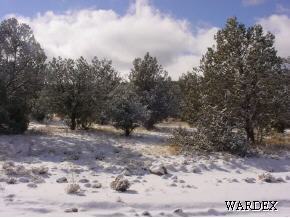 1511 Bucks Road Seligman, AZ 86337 - Photo 10 of 11 Additional Photo