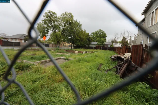 a view of yard with green space