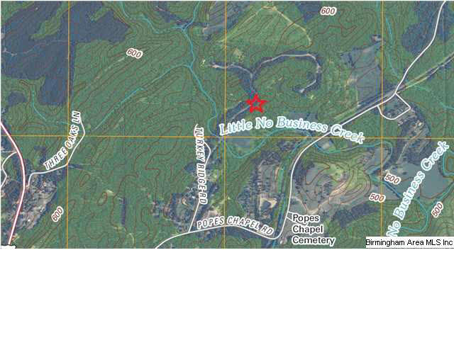 Turkey Ridge, Unit 11 Ragland, AL 35131 - Photo 30 of 31