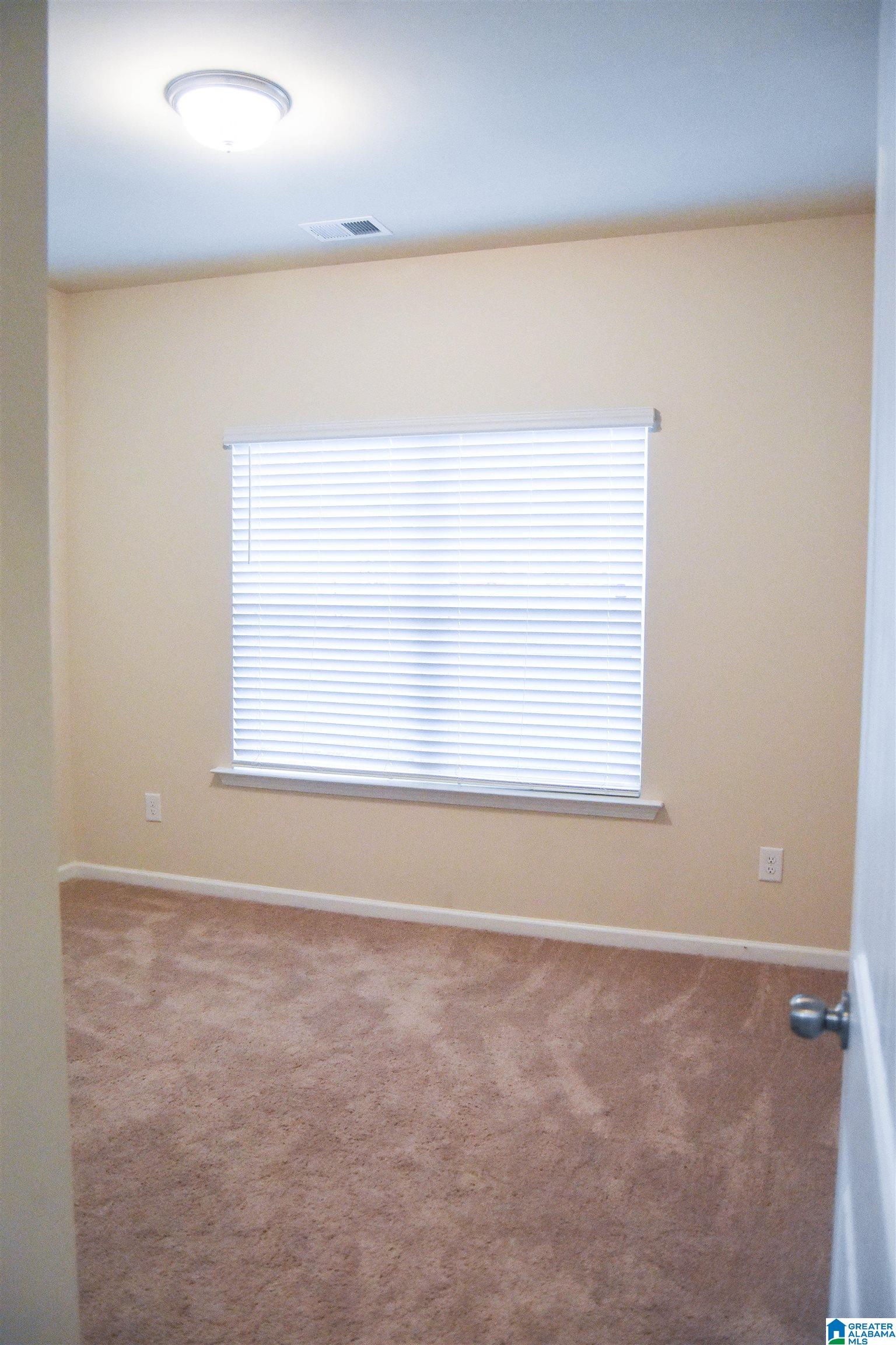 634 Twin Ridge Lincoln, AL 35096 - Photo 30 of 46