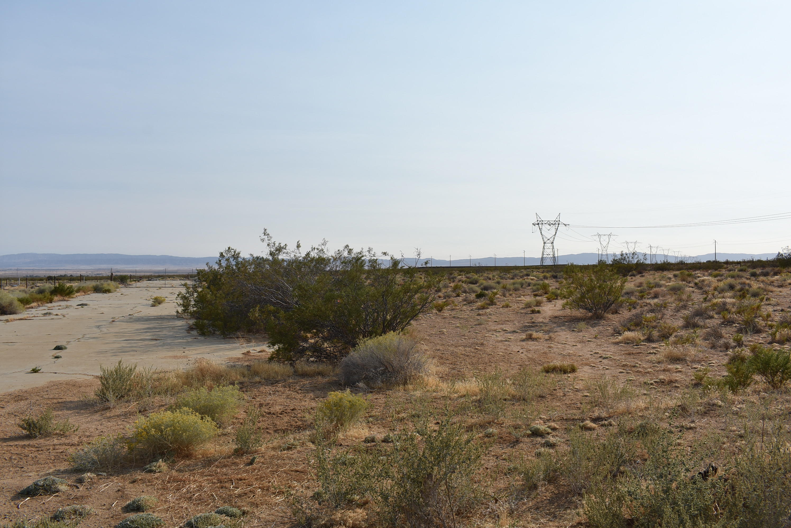 10800 Backus Road Rosamond, CA 93560 - Photo 2 of 14 DSC_0394