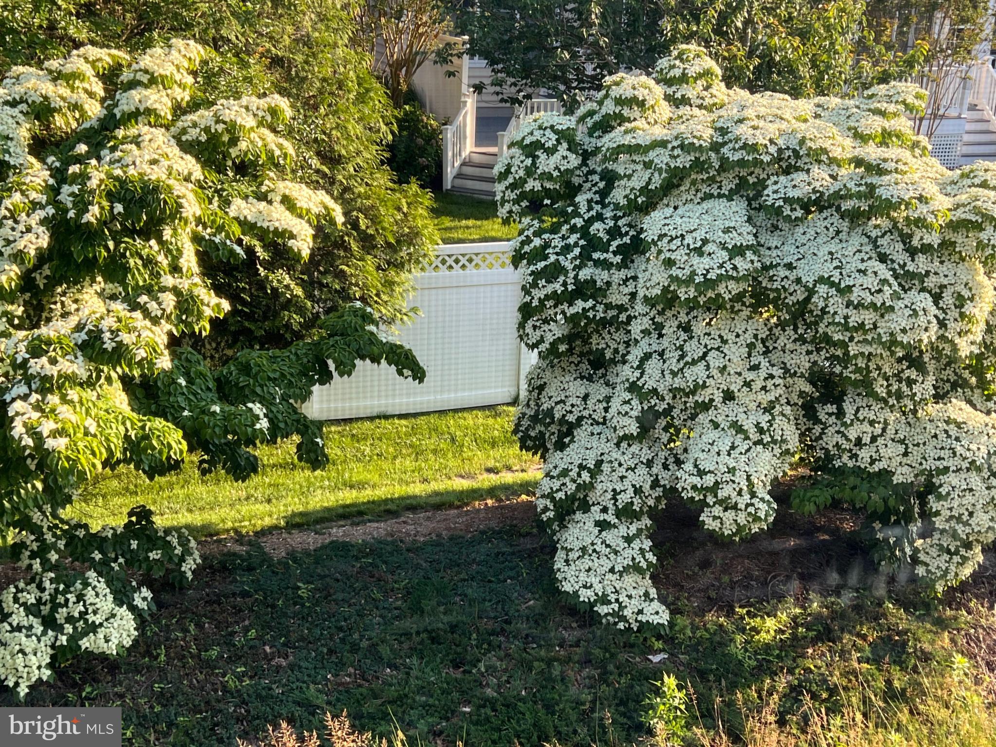 30619 Cedar Neck Road, Unit 1211 Ocean View, DE 19970 - Photo 33 of 64 Views from the balcony