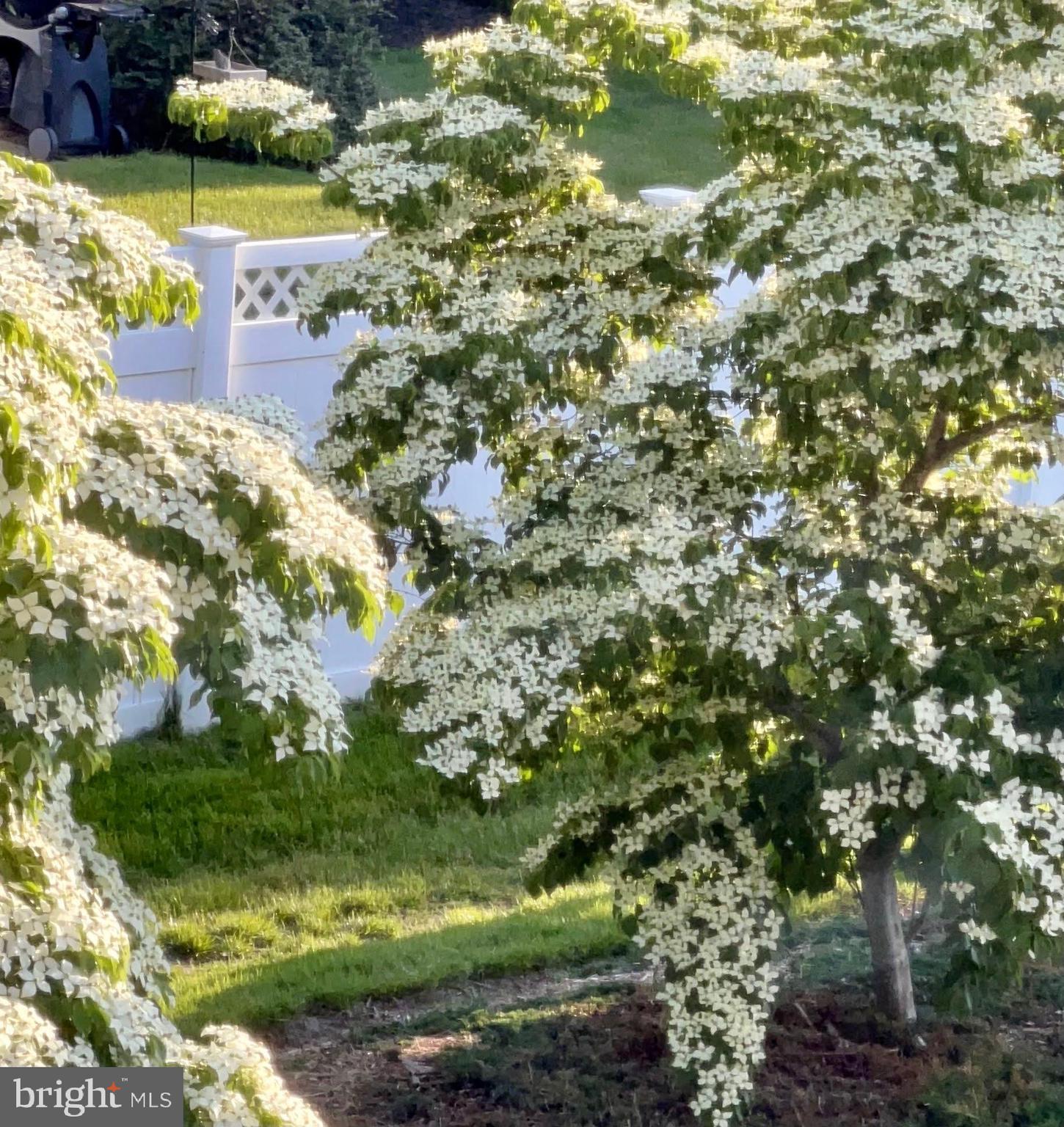 30619 Cedar Neck Road, Unit 1211 Ocean View, DE 19970 - Photo 34 of 64 Views from the balcony