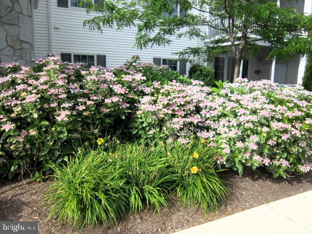 30619 Cedar Neck Road, Unit 1211 Ocean View, DE 19970 - Photo 43 of 64