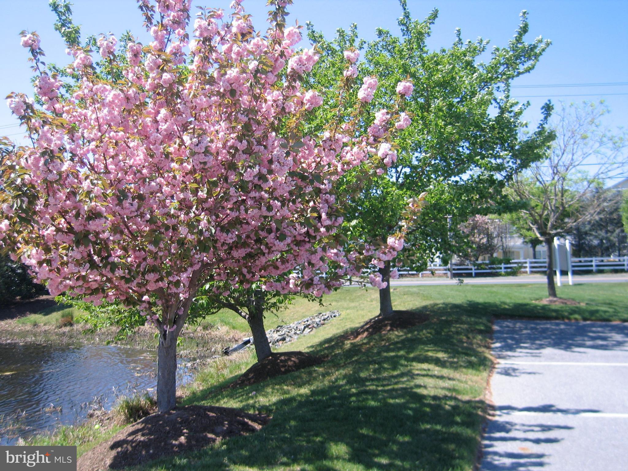 30619 Cedar Neck Road, Unit 1211 Ocean View, DE 19970 - Photo 47 of 64