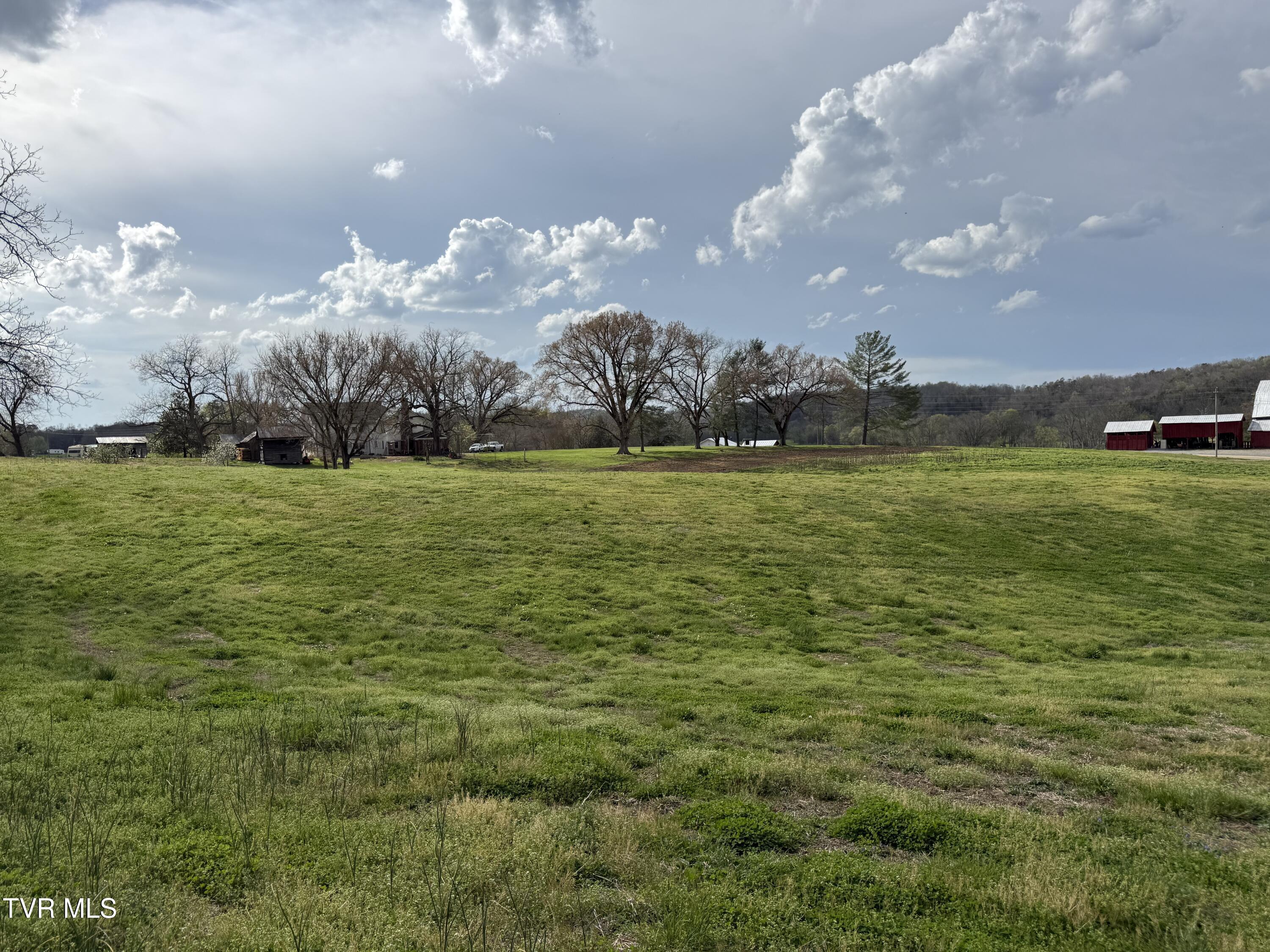 12315 Warrensburg Road Midway, TN 37809 - Photo 42 of 106 _Pic42