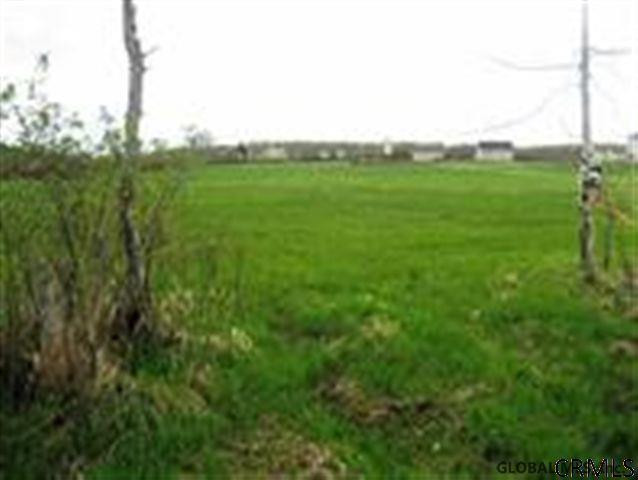 2 Kimmy Road Delanson, NY 12053 - Photo 3 of 8 Photo 3