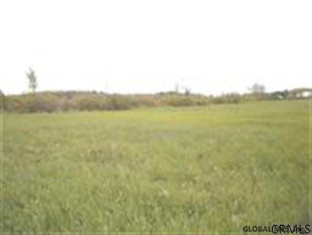 2 Kimmy Road Delanson, NY 12053 - Photo 6 of 8 Photo 6