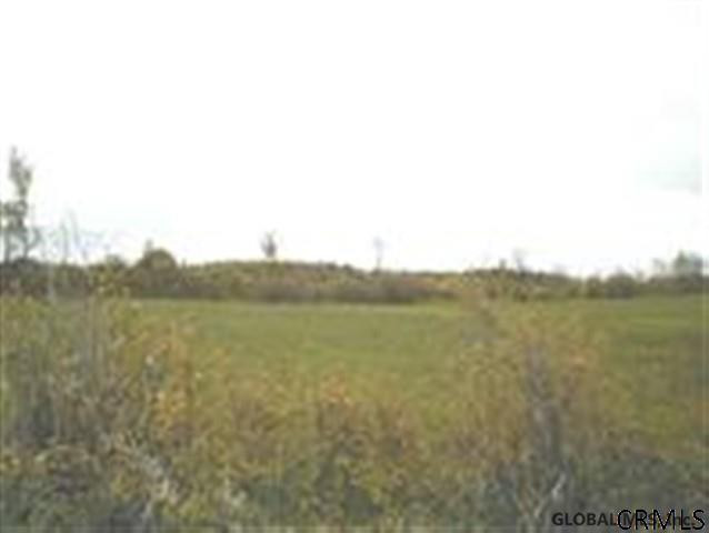 2 Kimmy Road Delanson, NY 12053 - Photo 7 of 8 Photo 7