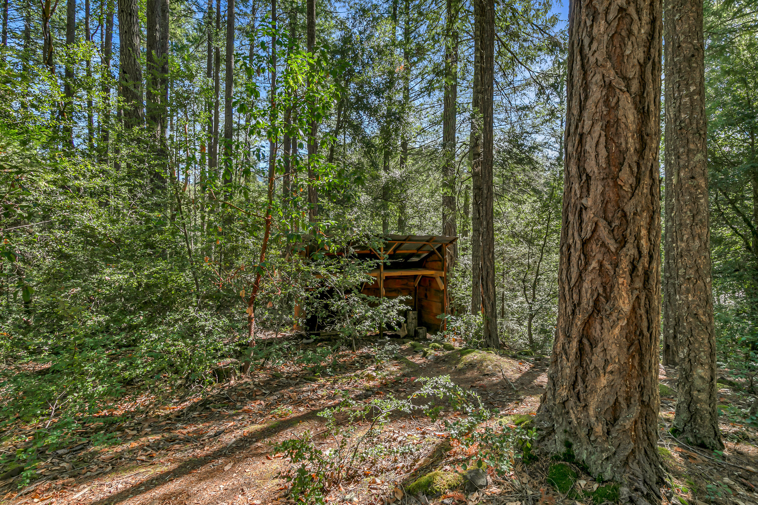 3496 East Fork Road Williams, OR 97544 - Photo 79 of 97 trails