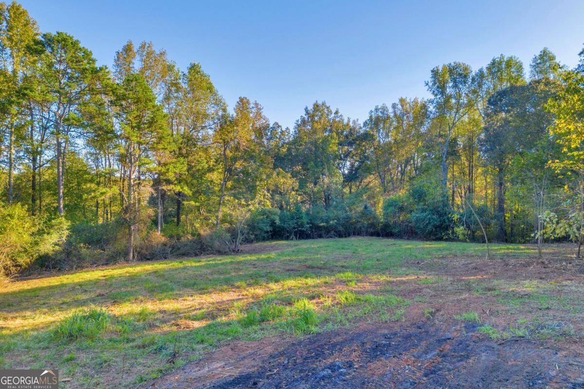 4638 Highway 63 Carnesville, GA 30521 - Photo 11 of 55
