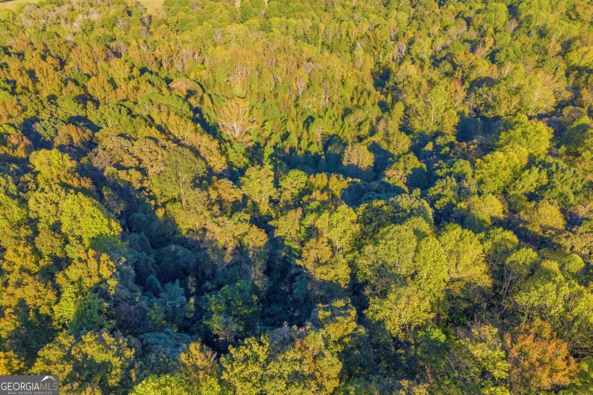 4638 Highway 63 Carnesville, GA 30521 - Photo 15 of 55