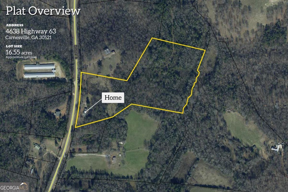 4638 Highway 63 Carnesville, GA 30521 - Photo 3 of 55