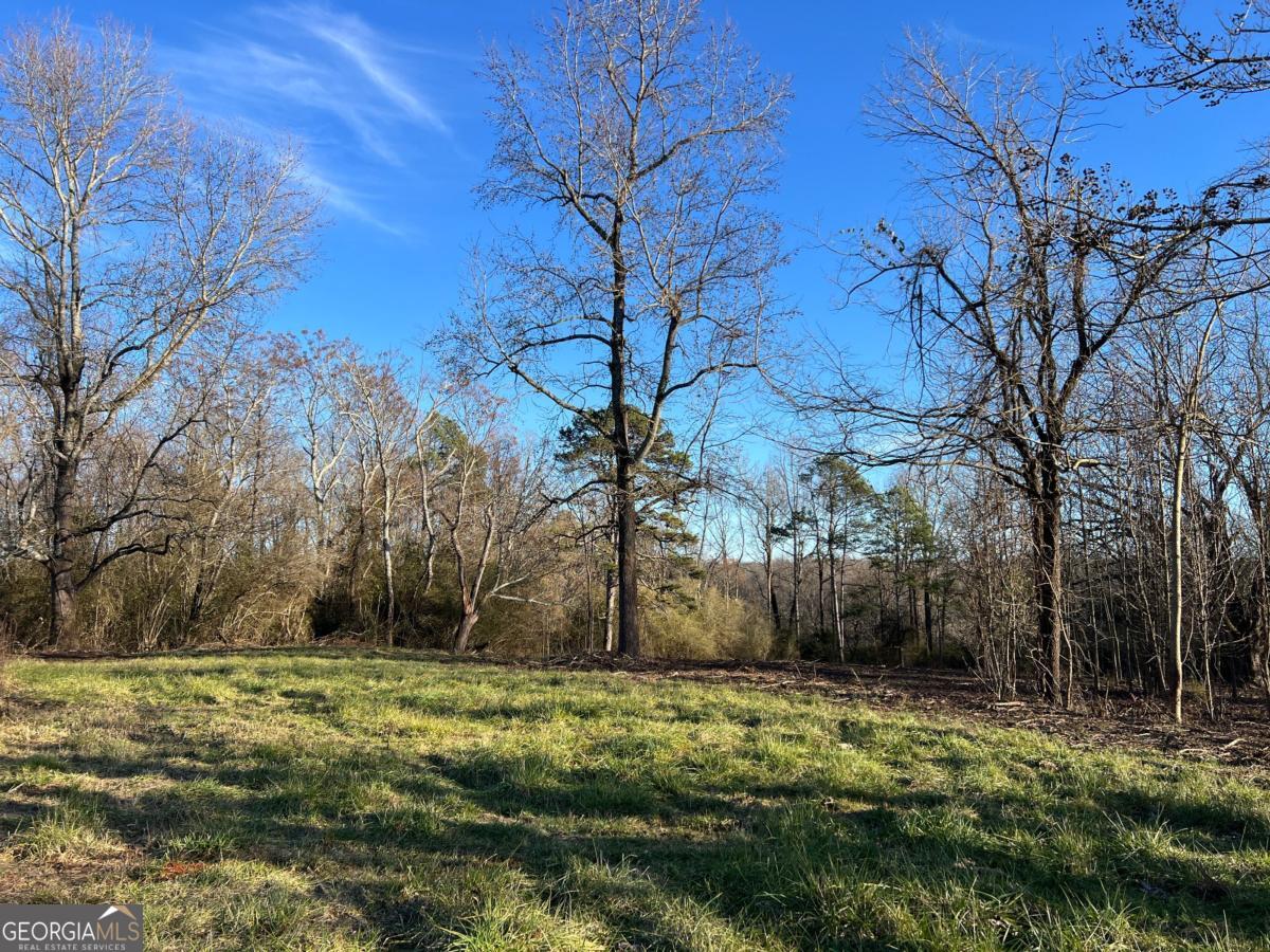 4638 Highway 63 Carnesville, GA 30521 - Photo 40 of 55