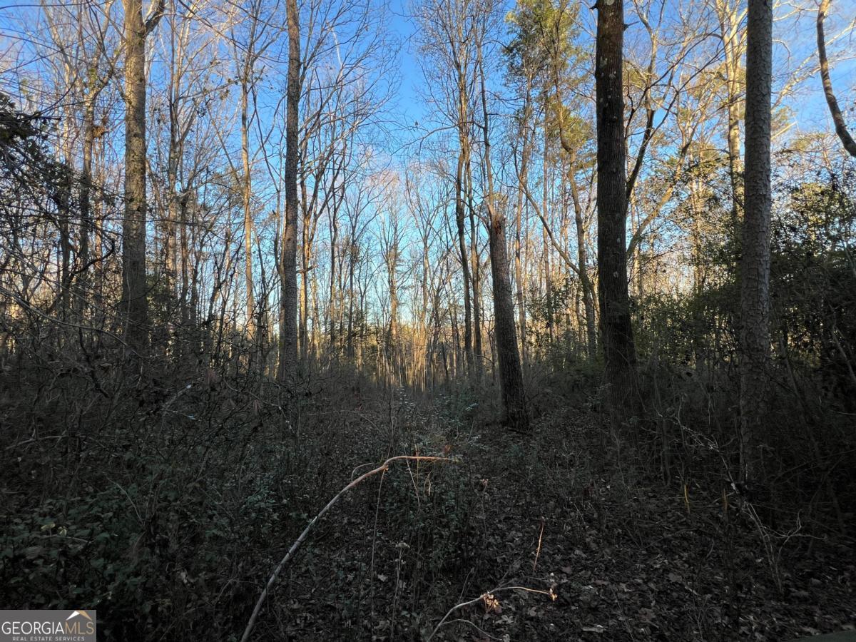 4638 Highway 63 Carnesville, GA 30521 - Photo 46 of 55