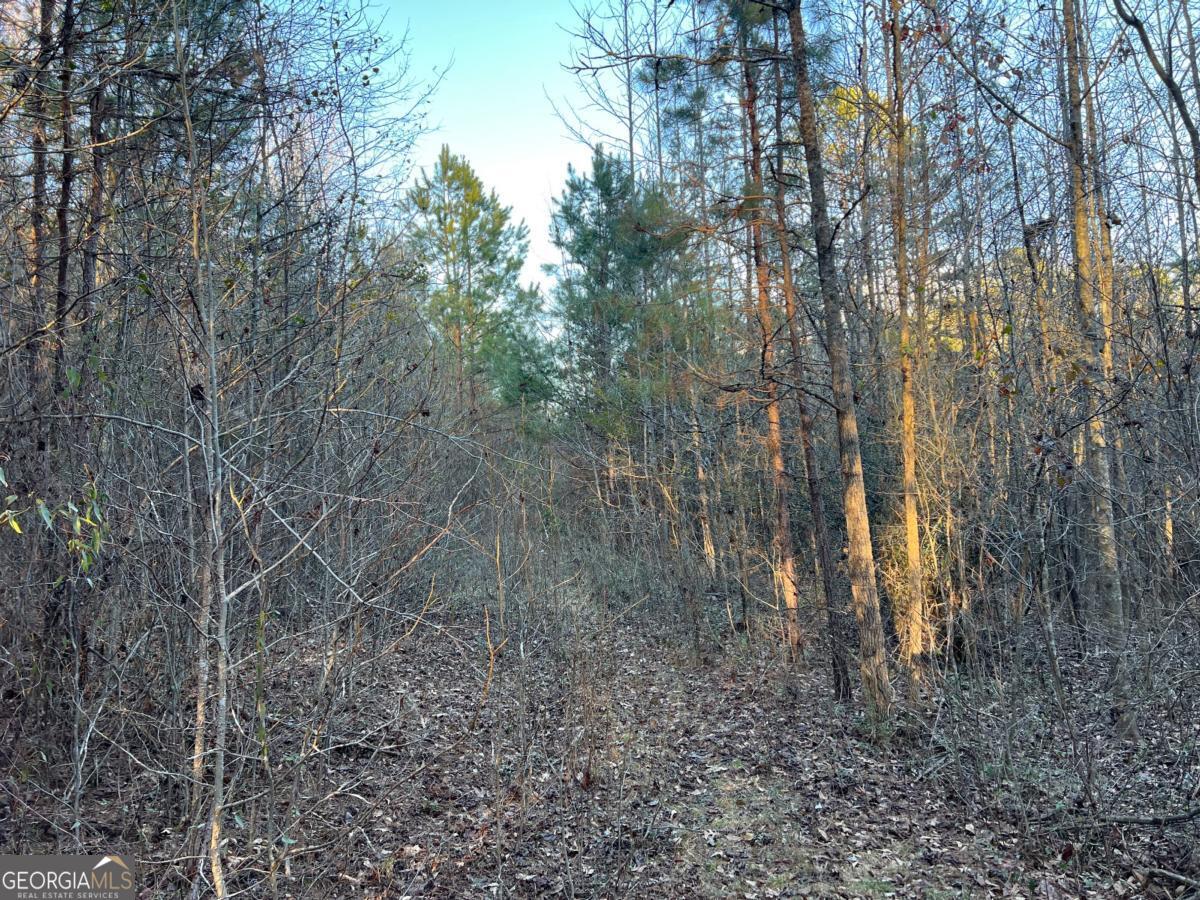 4638 Highway 63 Carnesville, GA 30521 - Photo 53 of 55