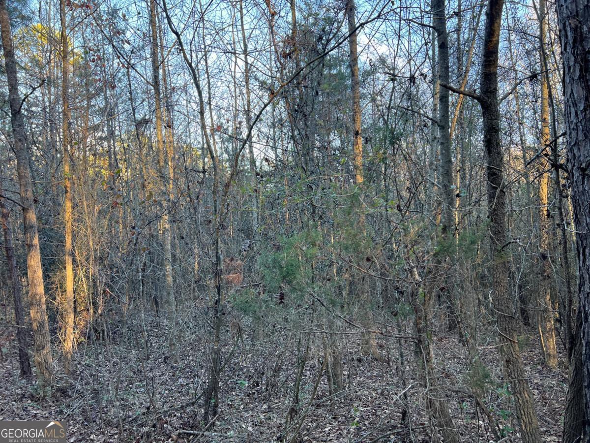 4638 Highway 63 Carnesville, GA 30521 - Photo 54 of 55