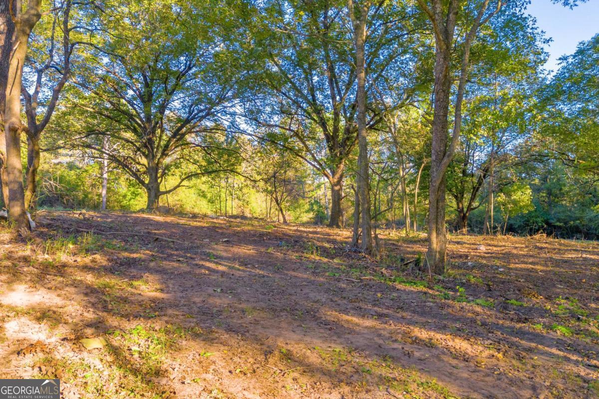 4638 Highway 63 Carnesville, GA 30521 - Photo 9 of 55