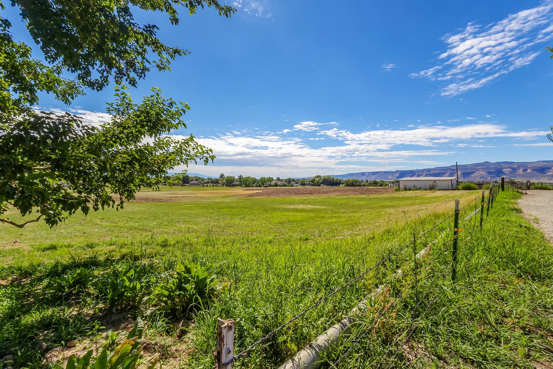 1665 L 1/2 Road Fruita, CO 81521 - Photo 4 of 26