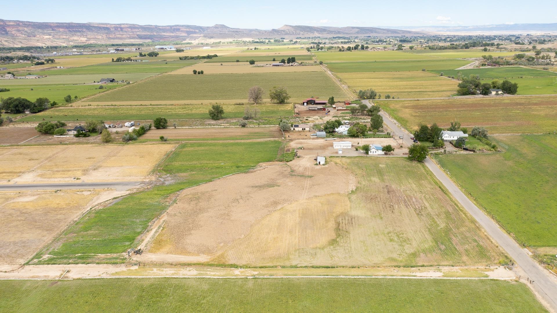 1665 L 1/2 Road Fruita, CO 81521 - Photo 5 of 26