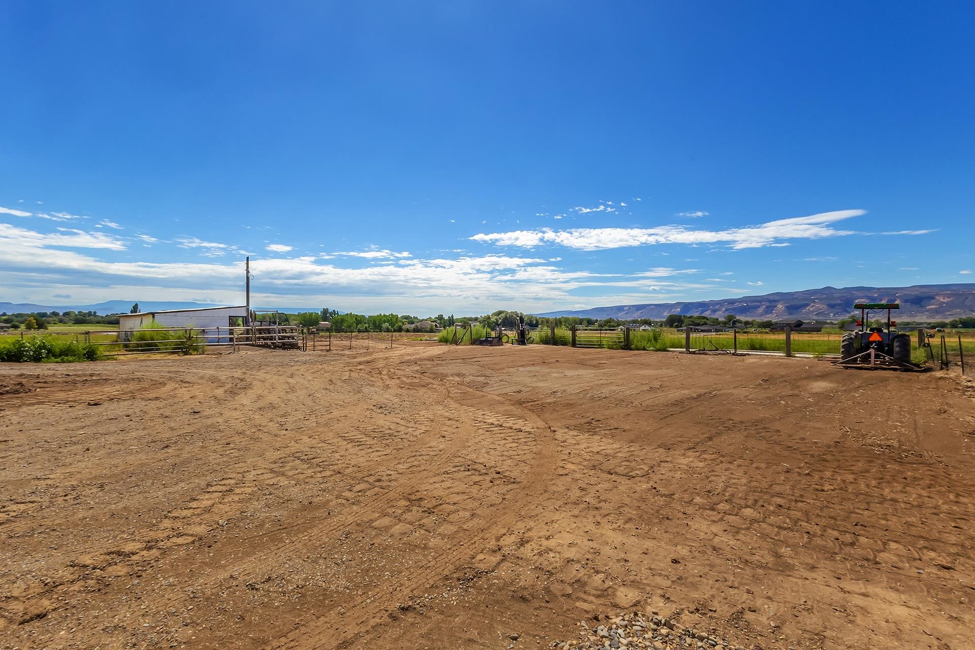 1665 L 1/2 Road Fruita, CO 81521 - Photo 8 of 26