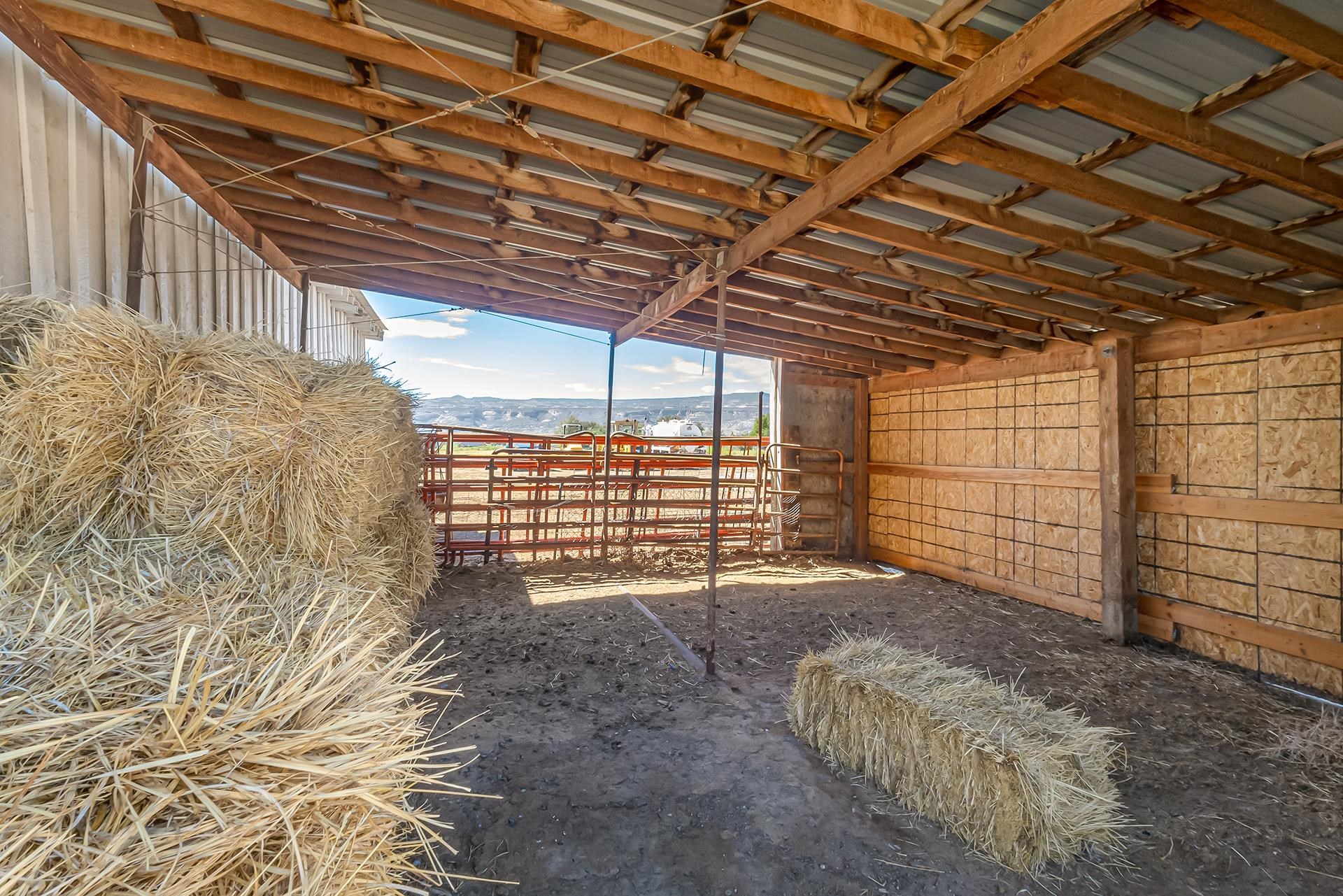 1665 L 1/2 Road Fruita, CO 81521 - Photo 9 of 26