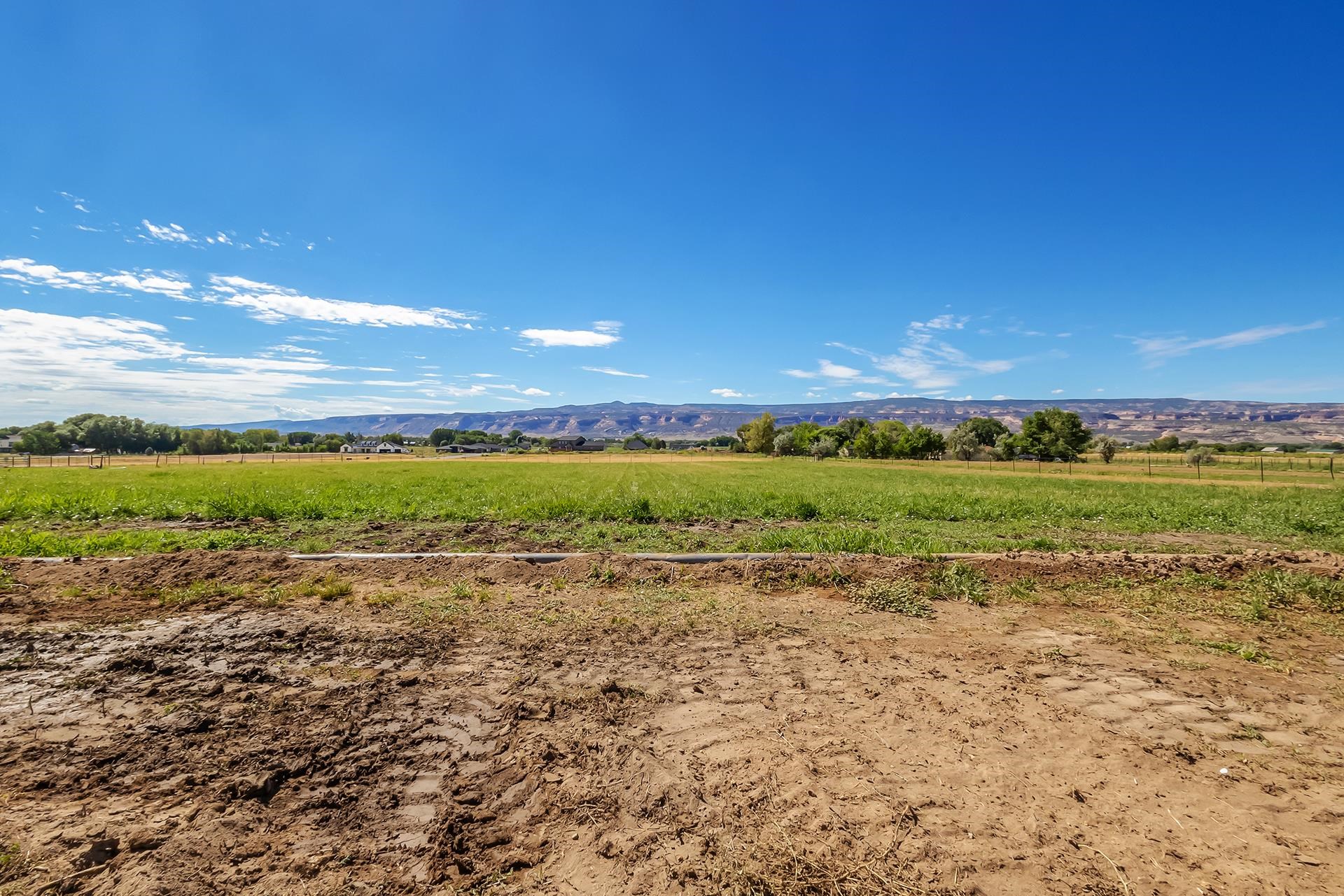 1665 L 1/2 Road Fruita, CO 81521 - Photo 10 of 26
