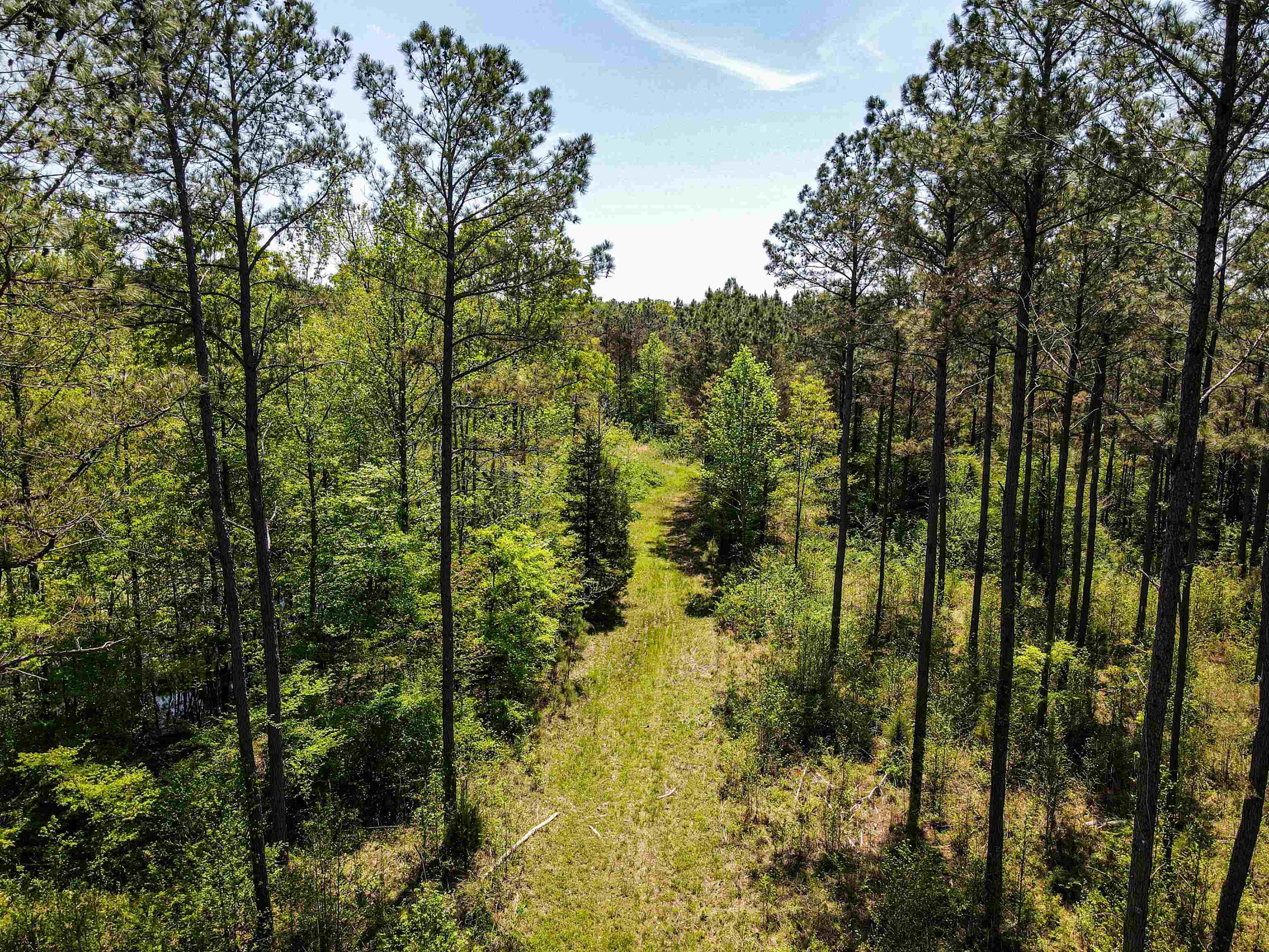 7900 Lagrange Road Somerville, TN 38068 - Photo 1 of 22 Gallery Image 1