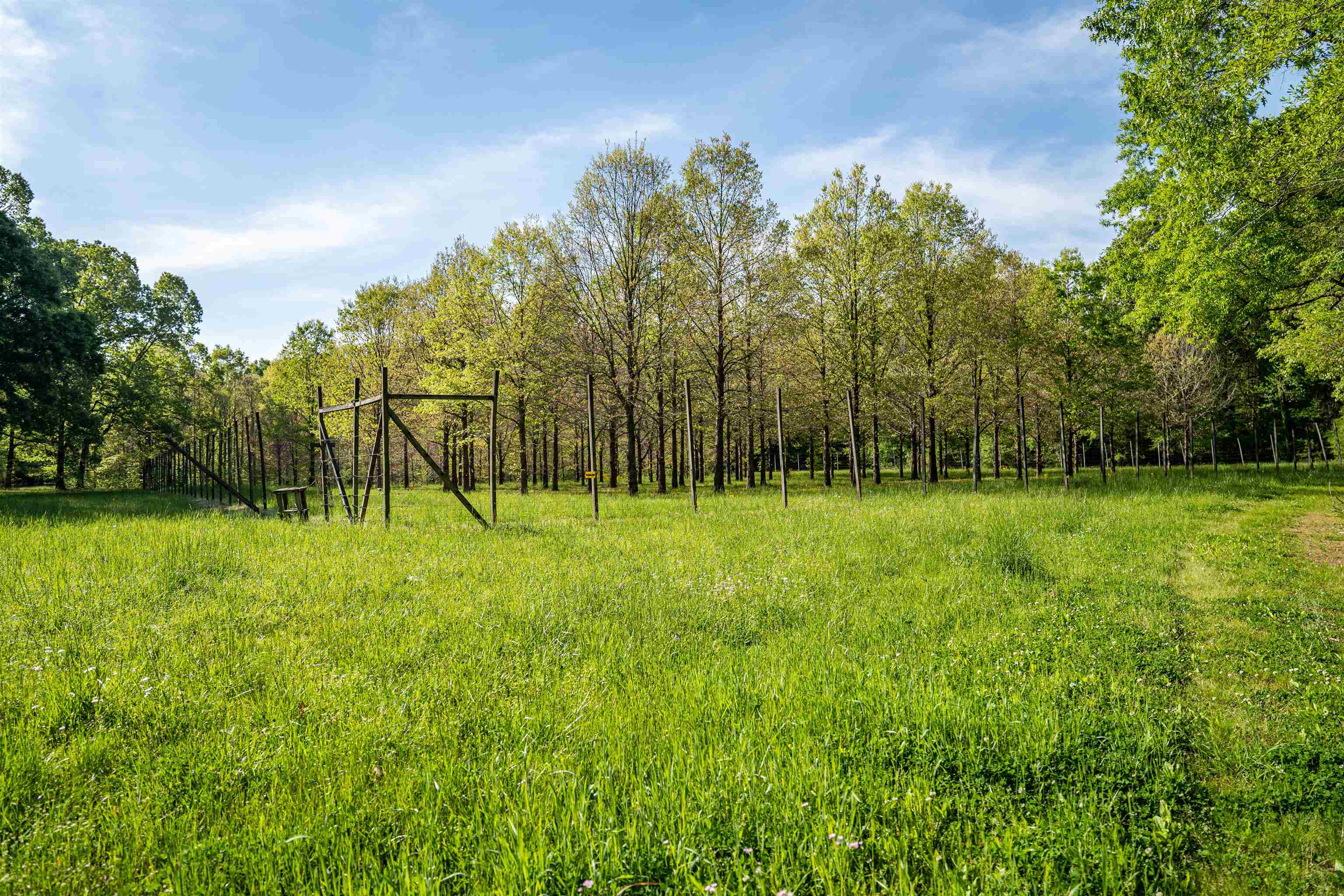 7900 Lagrange Road Somerville, TN 38068 - Photo 13 of 22 Gallery Image 13