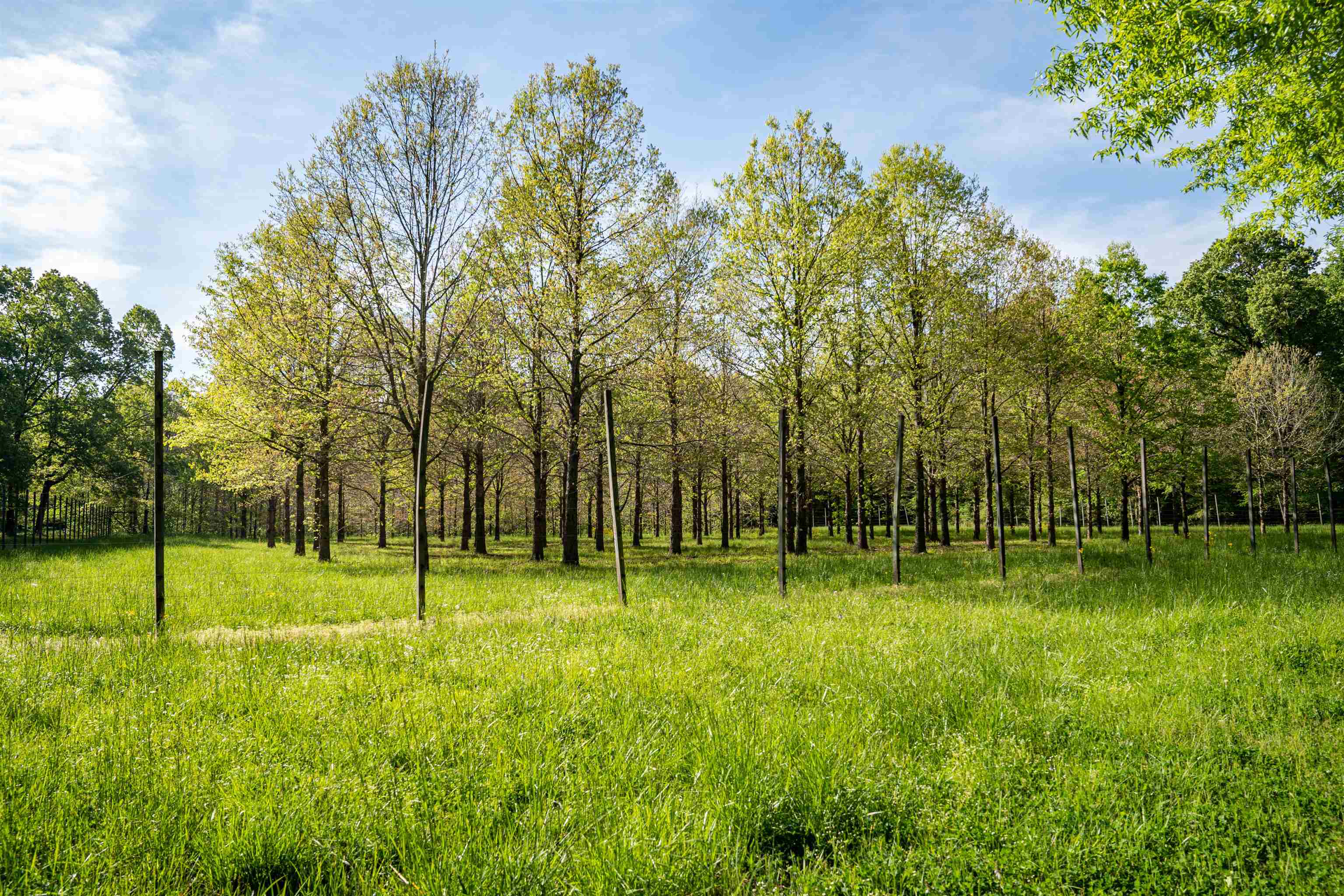 7900 Lagrange Road Somerville, TN 38068 - Photo 15 of 22 Gallery Image 15