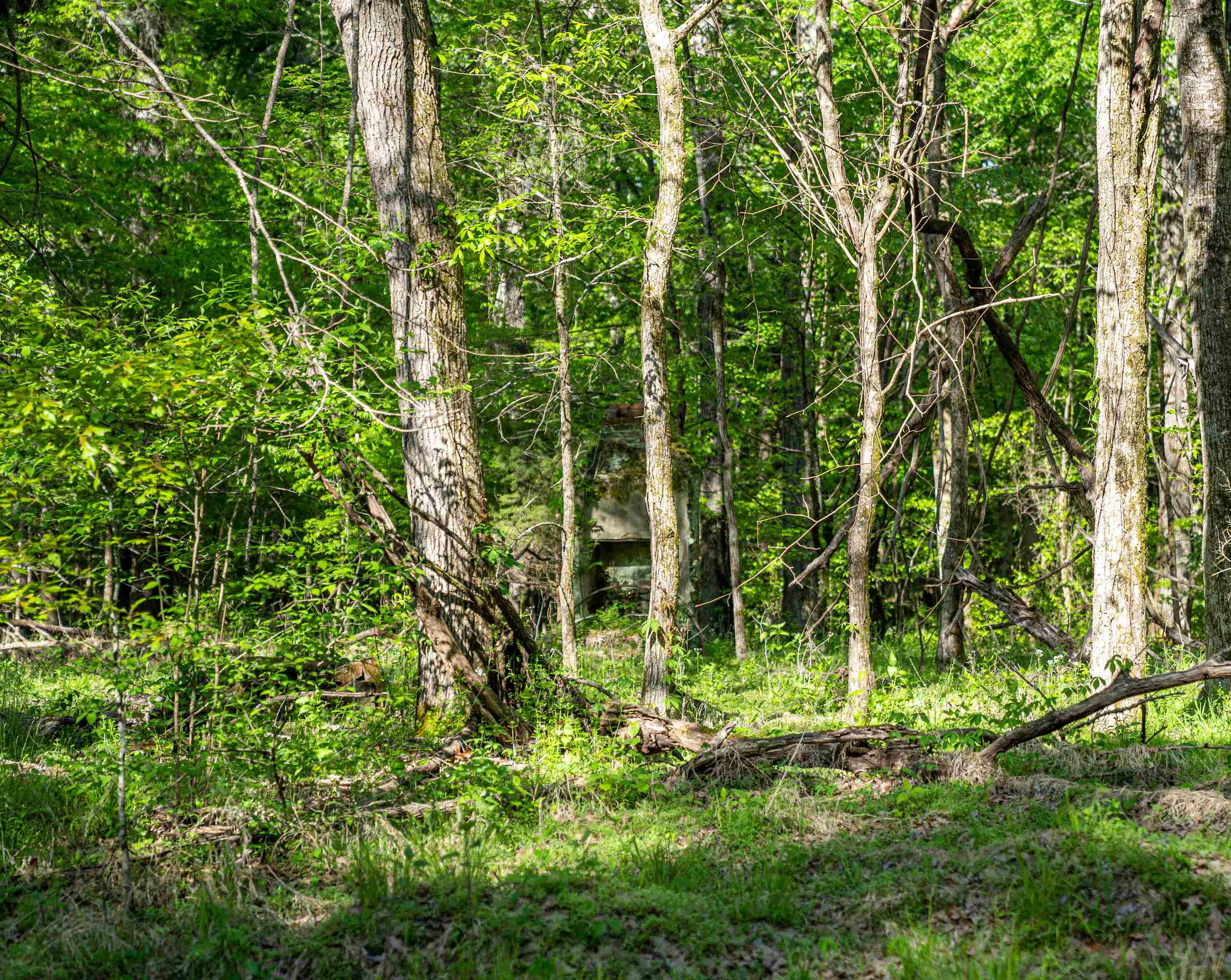 7900 Lagrange Road Somerville, TN 38068 - Photo 16 of 22 Gallery Image 16