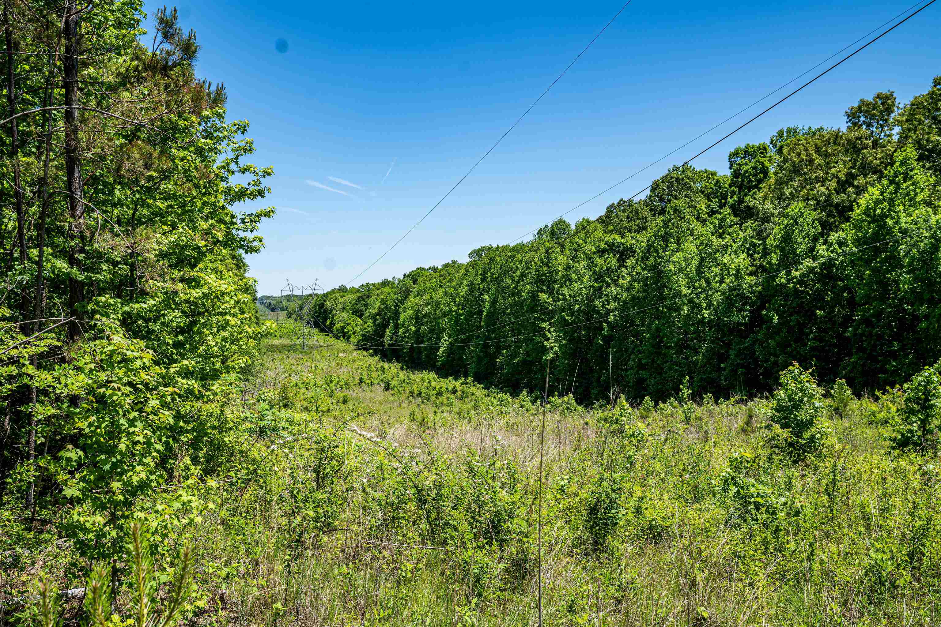 7900 Lagrange Road Somerville, TN 38068 - Photo 20 of 22 Gallery Image 20