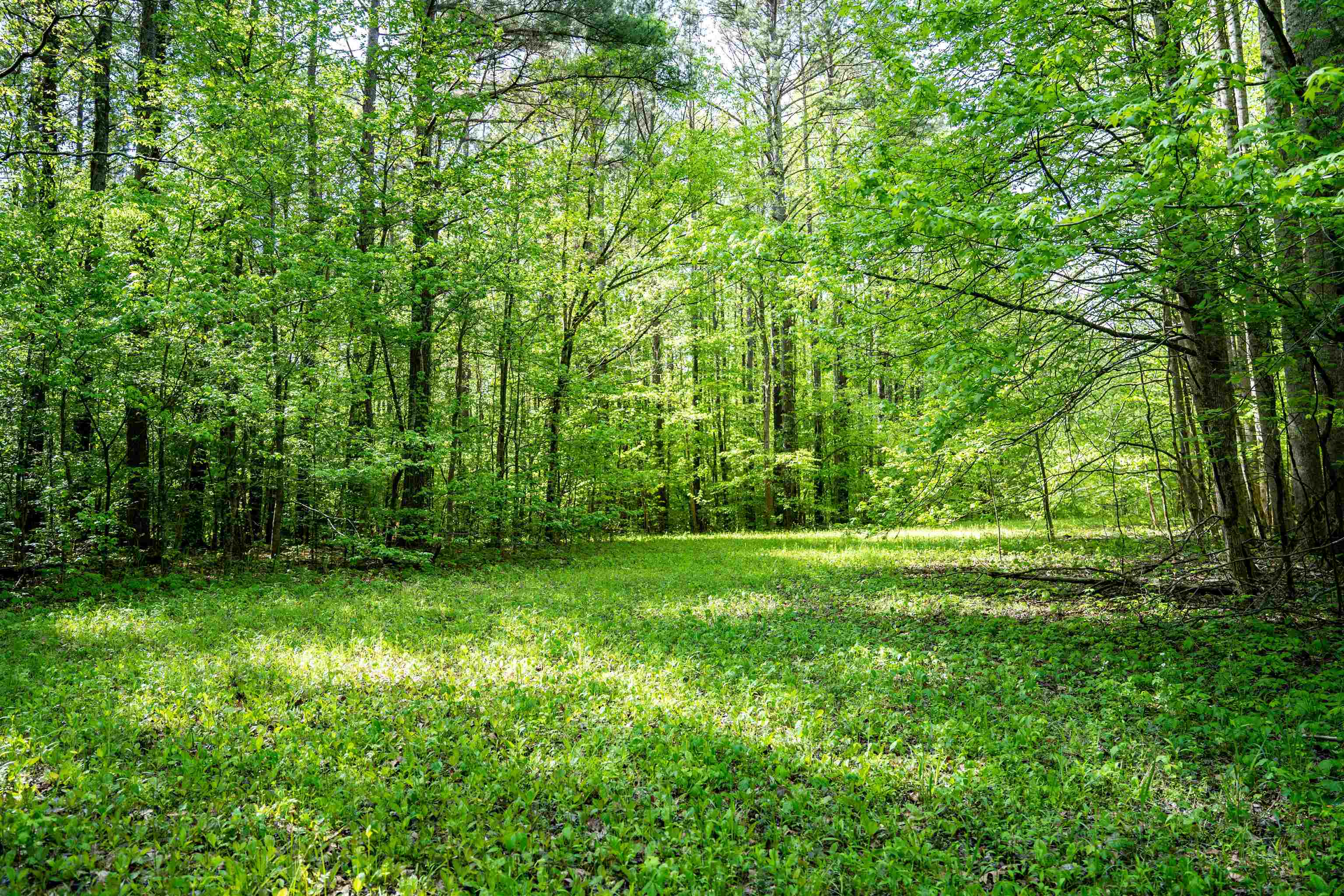 7900 Lagrange Road Somerville, TN 38068 - Photo 2 of 22 Gallery Image 2