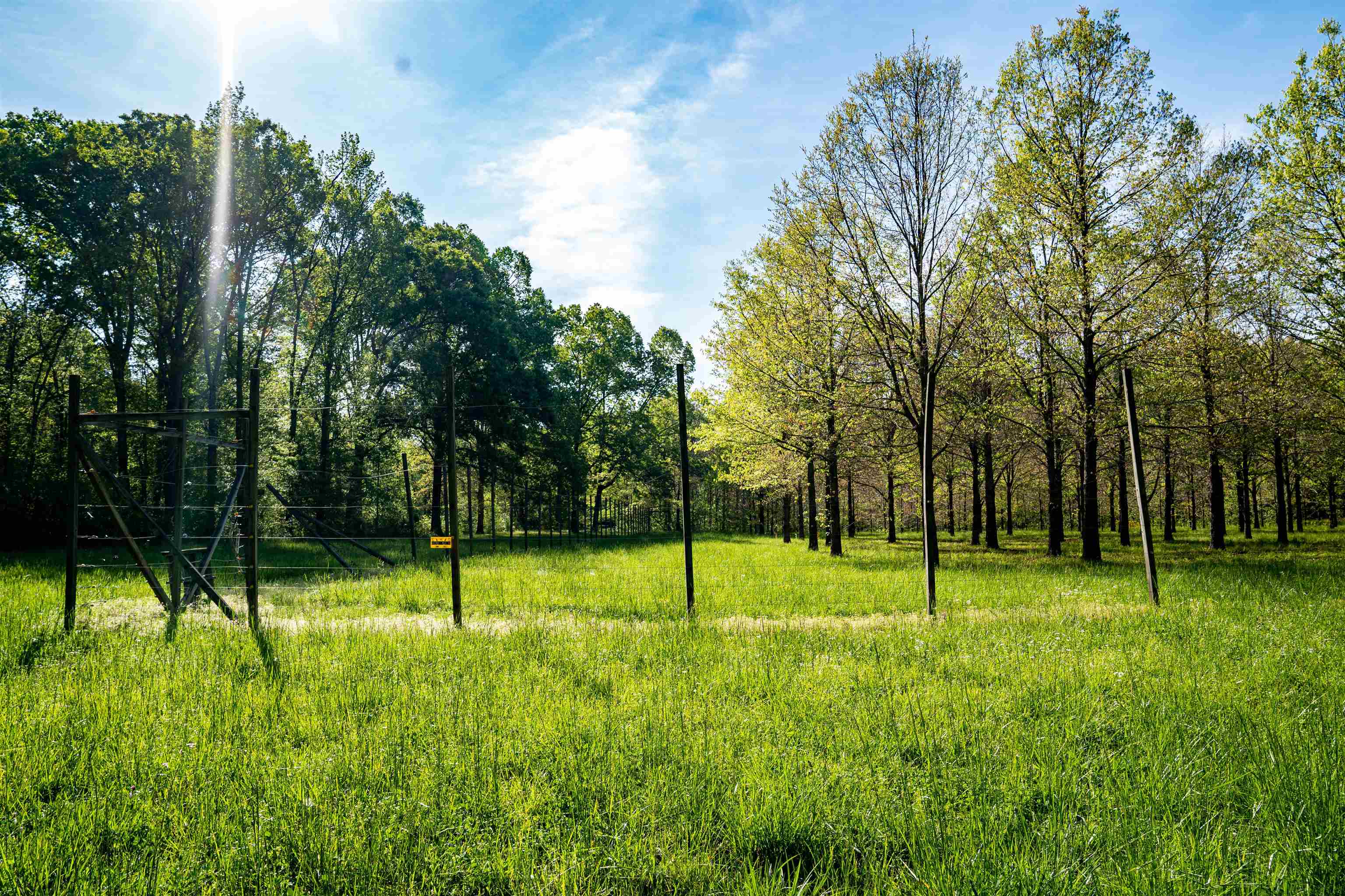 7900 Lagrange Road Somerville, TN 38068 - Photo 22 of 22 Gallery Image 22