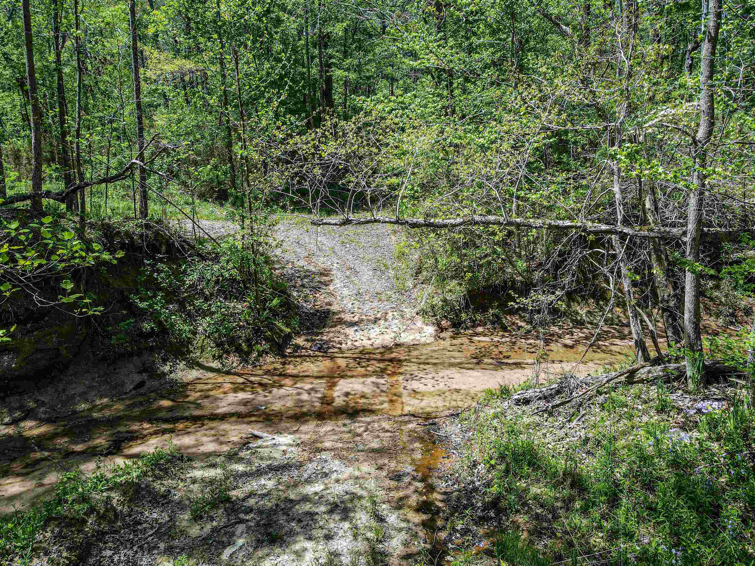 7900 Lagrange Road Somerville, TN 38068 - Photo 4 of 22 Gallery Image 4