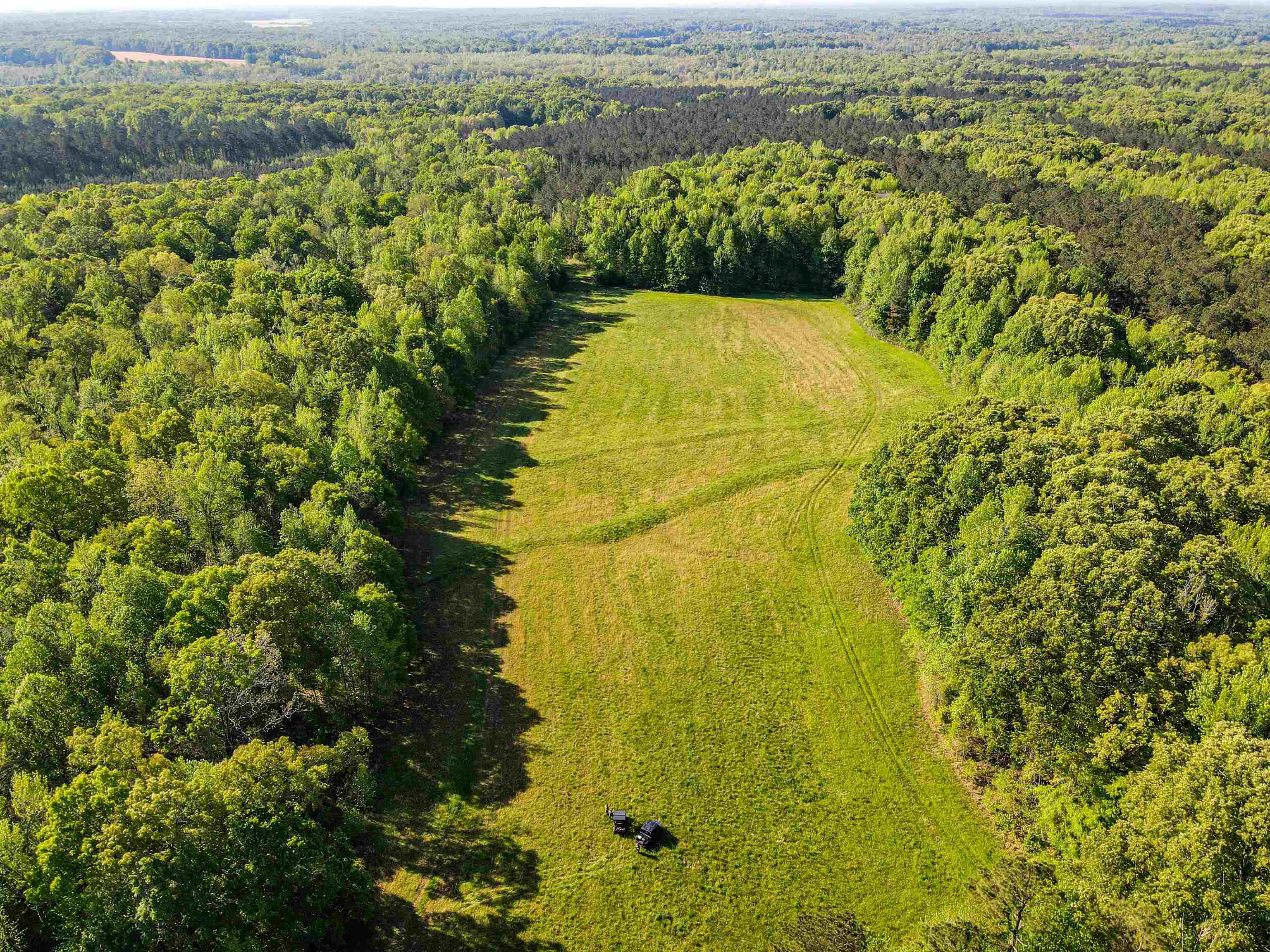 7900 Lagrange Road Somerville, TN 38068 - Photo 9 of 22 Gallery Image 9