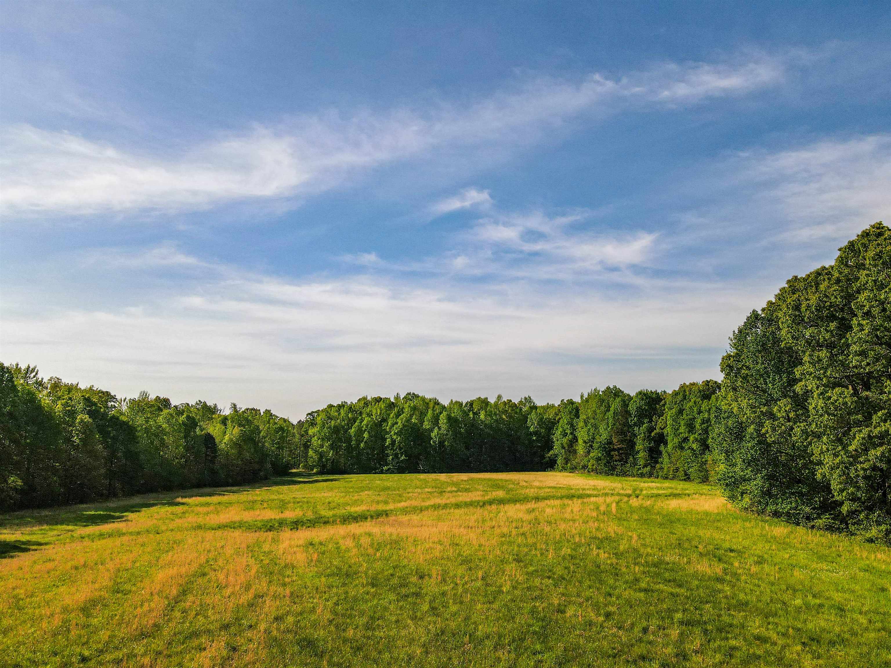 7900 Lagrange Road Somerville, TN 38068 - Photo 10 of 22 Gallery Image 10