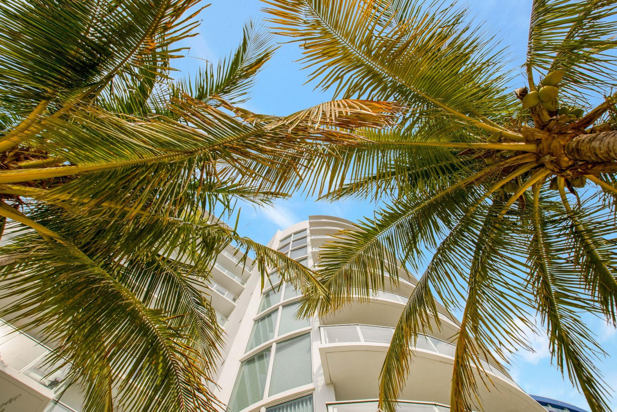 401 North Birch Road, Unit 413 Fort Lauderdale, FL 33304 - Photo 34 of 38 Photo 34