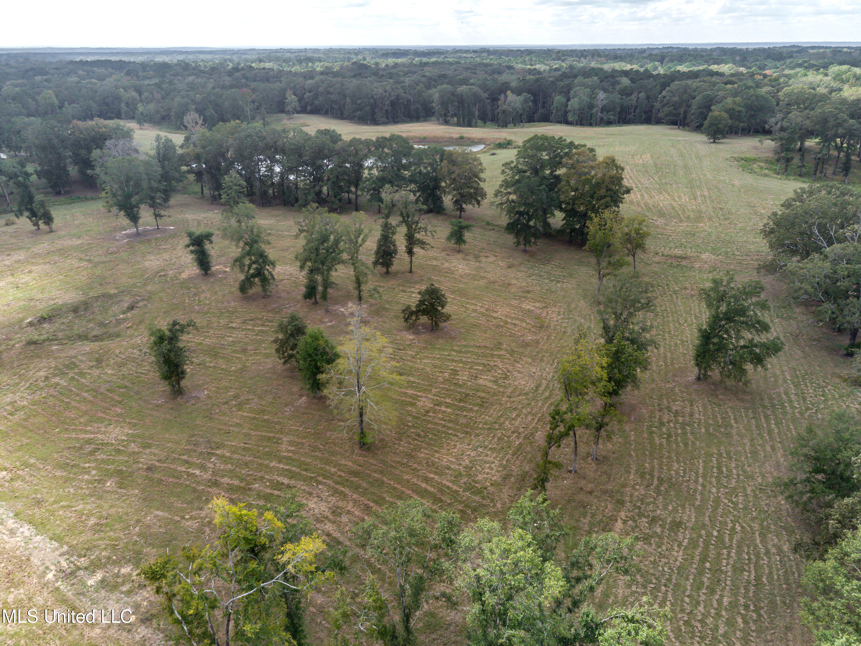 325 West Main Street Florence, MS 39073 - Photo 20 of 20 325 west main street drone-32