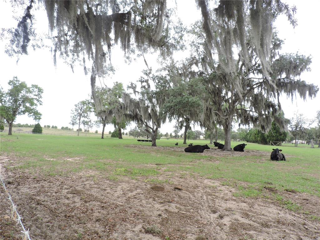 5757 Trask Road Fort Meade, FL 33841 - Photo 51 of 53
