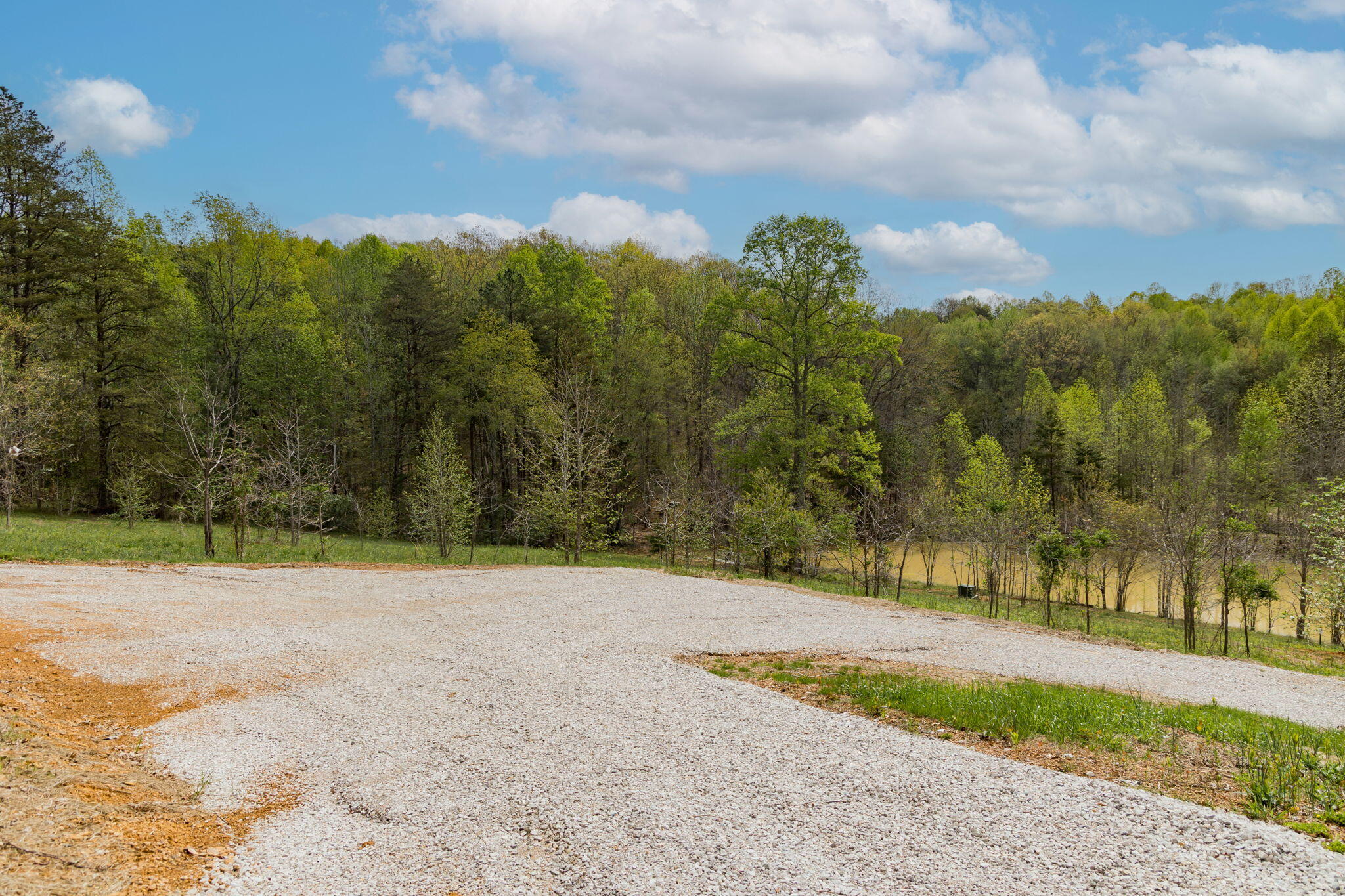 210 Hawks Point Road Beattyville, KY 41311 - Photo 4 of 34 4-web-or-mls-FO7A1313