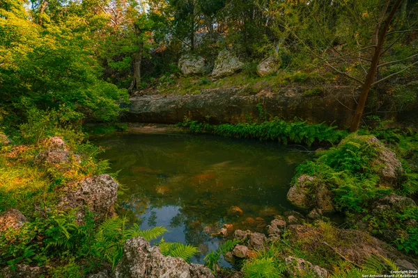 a view of lake with green space