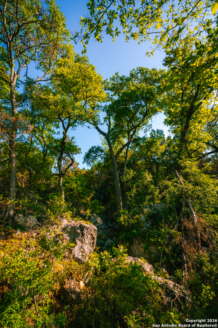 0 Rebecca Creek Ranch Spring Branch Spring Branch, TX 78070 - Photo 4 of 10 a view of a tree