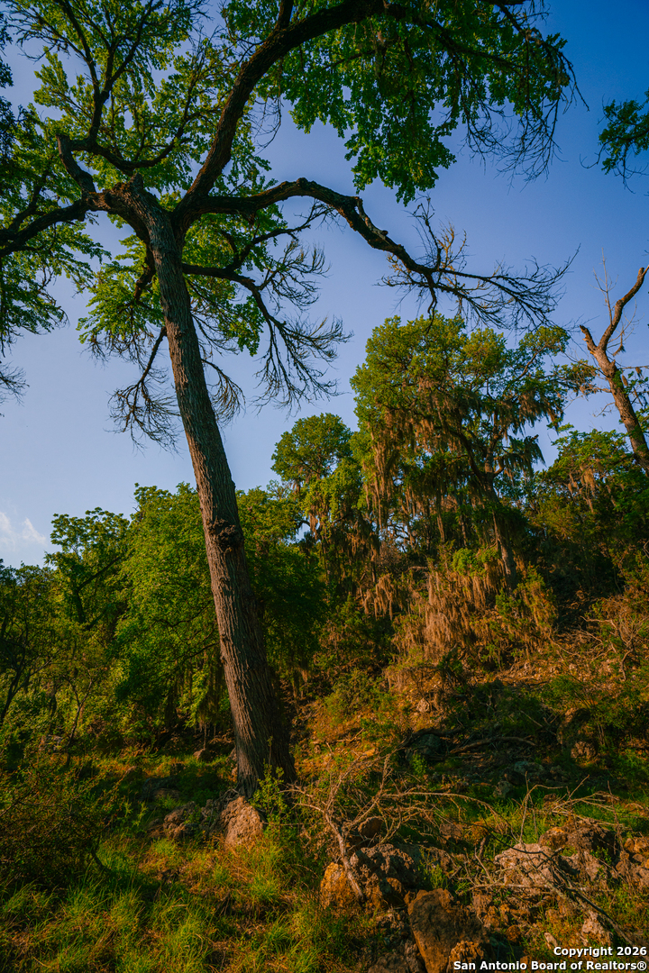 0 Rebecca Creek Ranch Spring Branch Spring Branch, TX 78070 - Photo 8 of 10