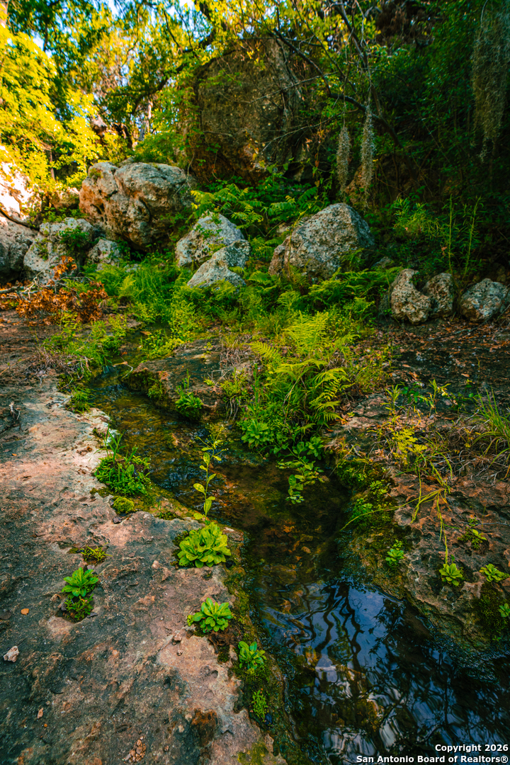 0 Rebecca Creek Ranch Spring Branch Spring Branch, TX 78070 - Photo 9 of 10 a view of a garden with plants