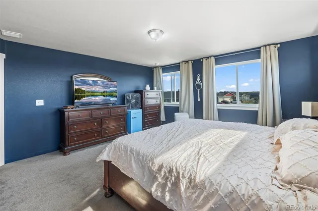 a bed room with a bed and a television