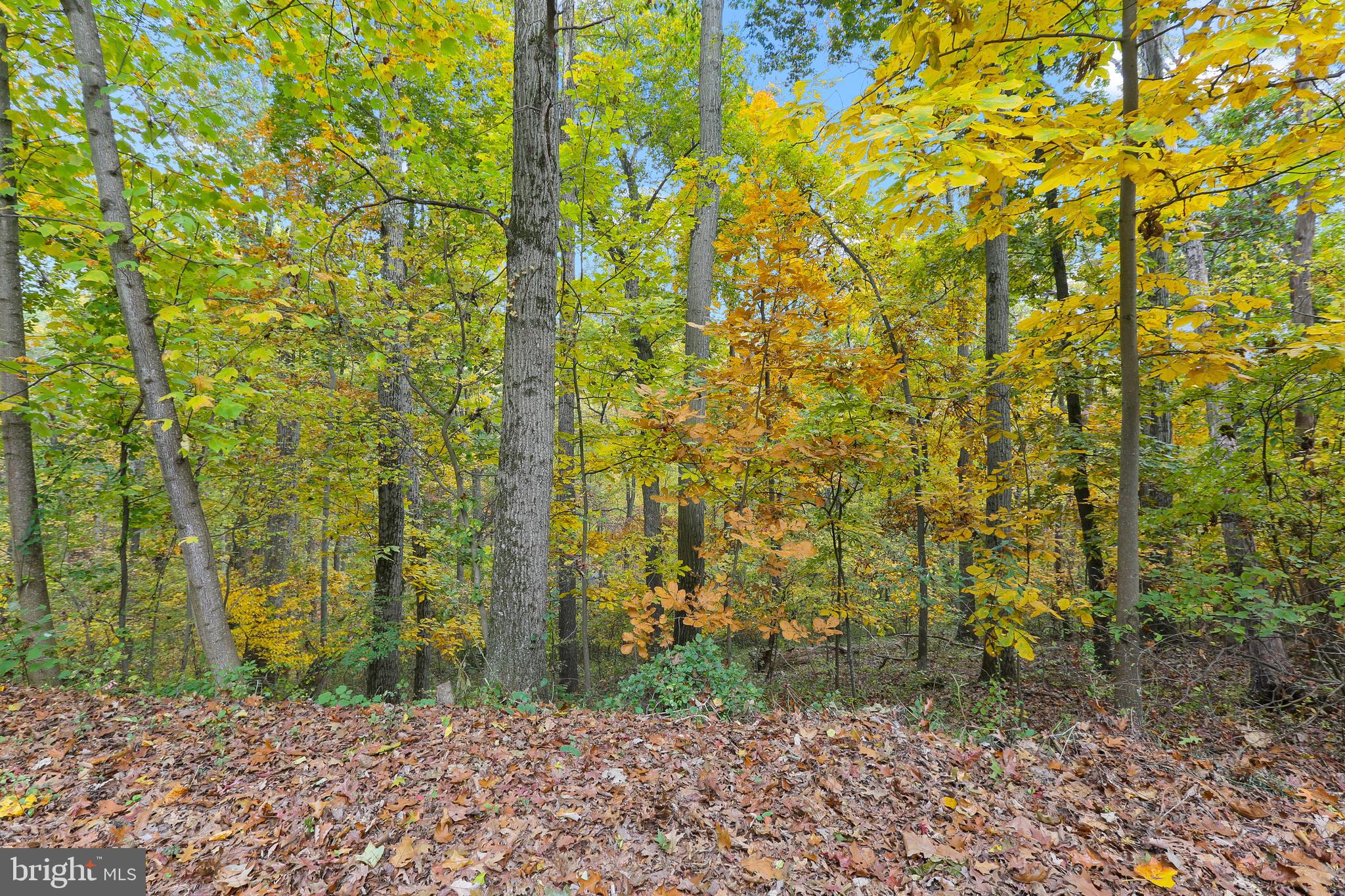 1757 Gablehammer Road Westminster, MD 21157 - Photo 50 of 59 Gorgeous Foliage