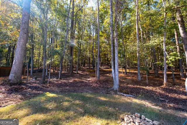 a view of outdoor space with lots of trees